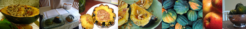 [acorn squash] ドングリカボチャ