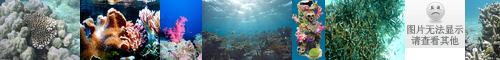 [coral reef] サンゴ礁, 珊瑚礁, サンゴしょう, さんごしょう, 珊瑚