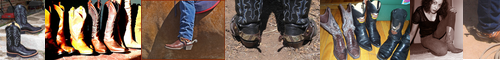 [cowboy boot] カウボーイブーツ