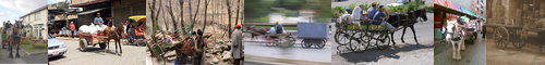 [horse] 馬, ウマ, うま / [cart] カート, 荷車, 荷馬車