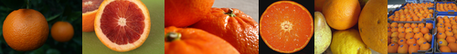 [orange] オレンジ, オレンジ色, 橙色, みかん, オレンジ色の, 柑子色, オレンジいろ, 橙, 炎色, だいだい, 橙色の, orenji, 橙黄色, オランジュ, えんしょく